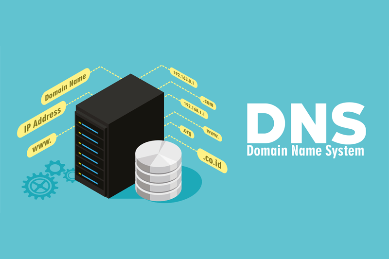 Free Notes on Domain Name System (DNS)