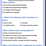 Python programming 25+ Questions Worksheets for Kids